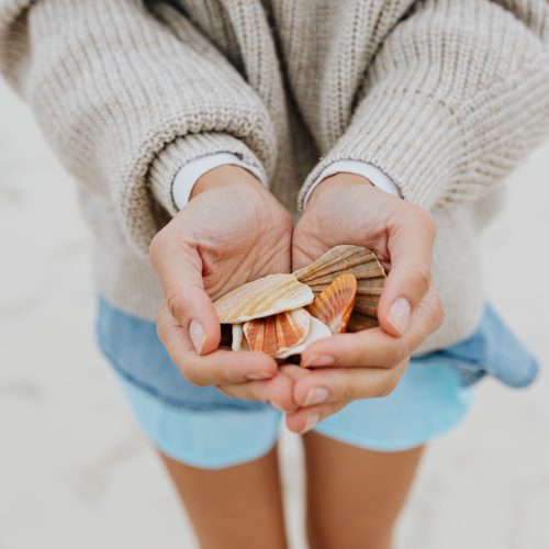 woman holding seashells_karolina-grabowska_on_Kaboompics_500x500